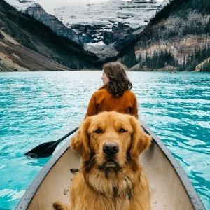 Meet your Posher, Laurel